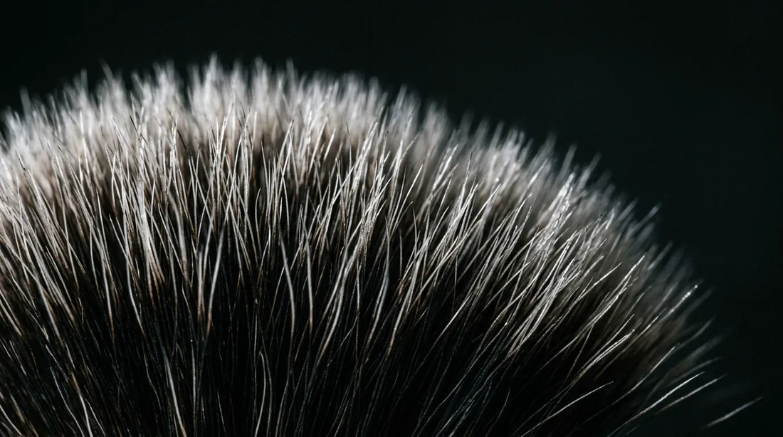 Close-up macro photograph of badger hair shaving brush bristles