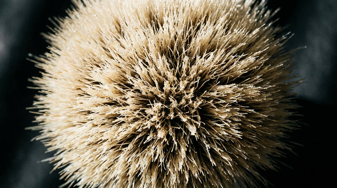 Macro close-up of a badger shaving brush knot showing dense bristles and soft pale tips