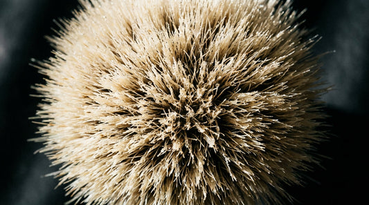 Macro close-up of a badger shaving brush knot showing dense bristles and soft pale tips
